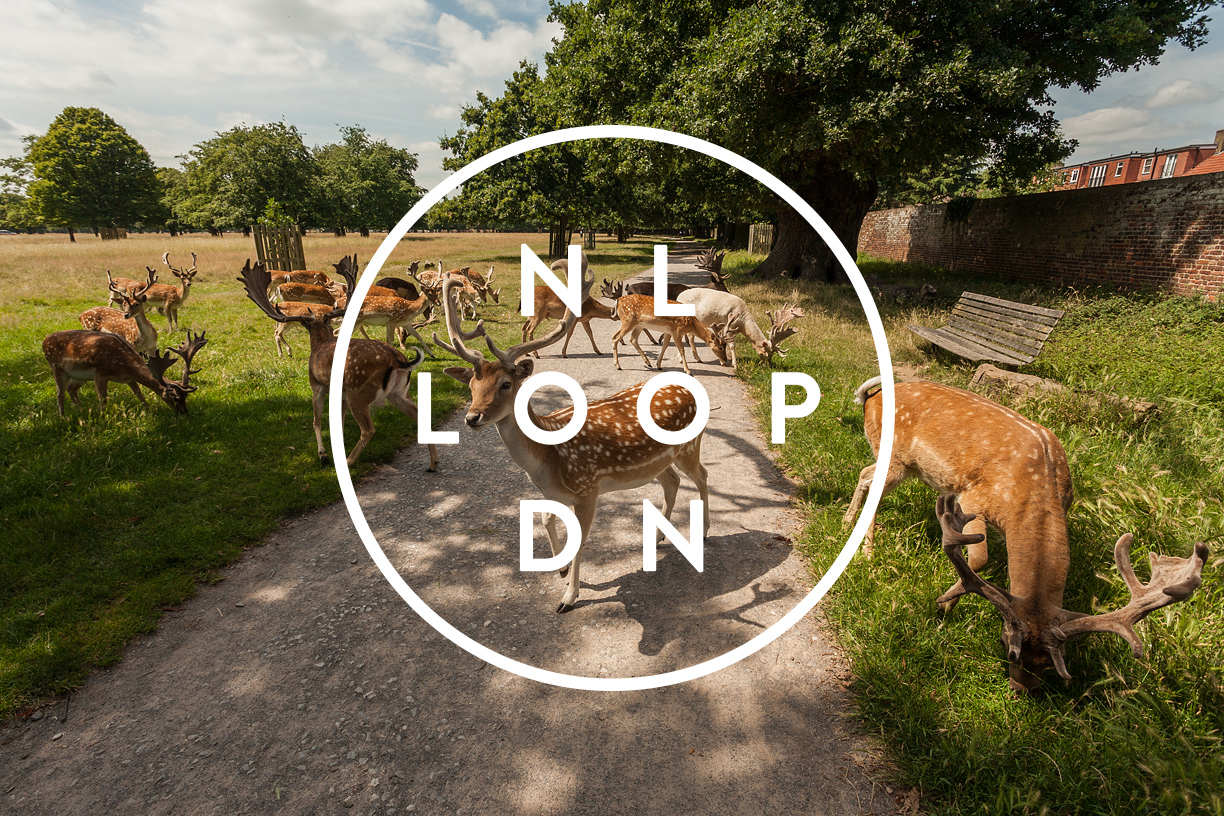London LOOP by VERDE