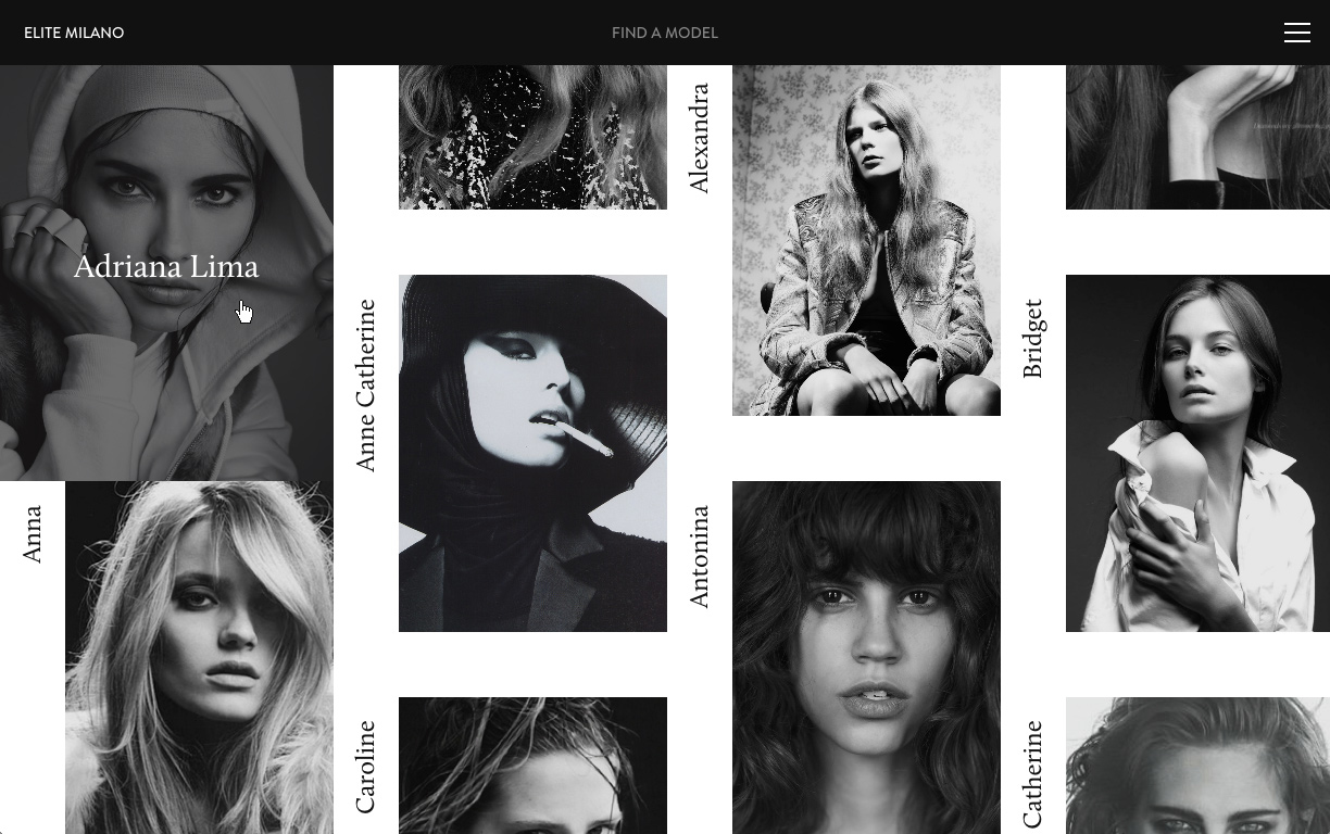 Elite Model Management by VERDE