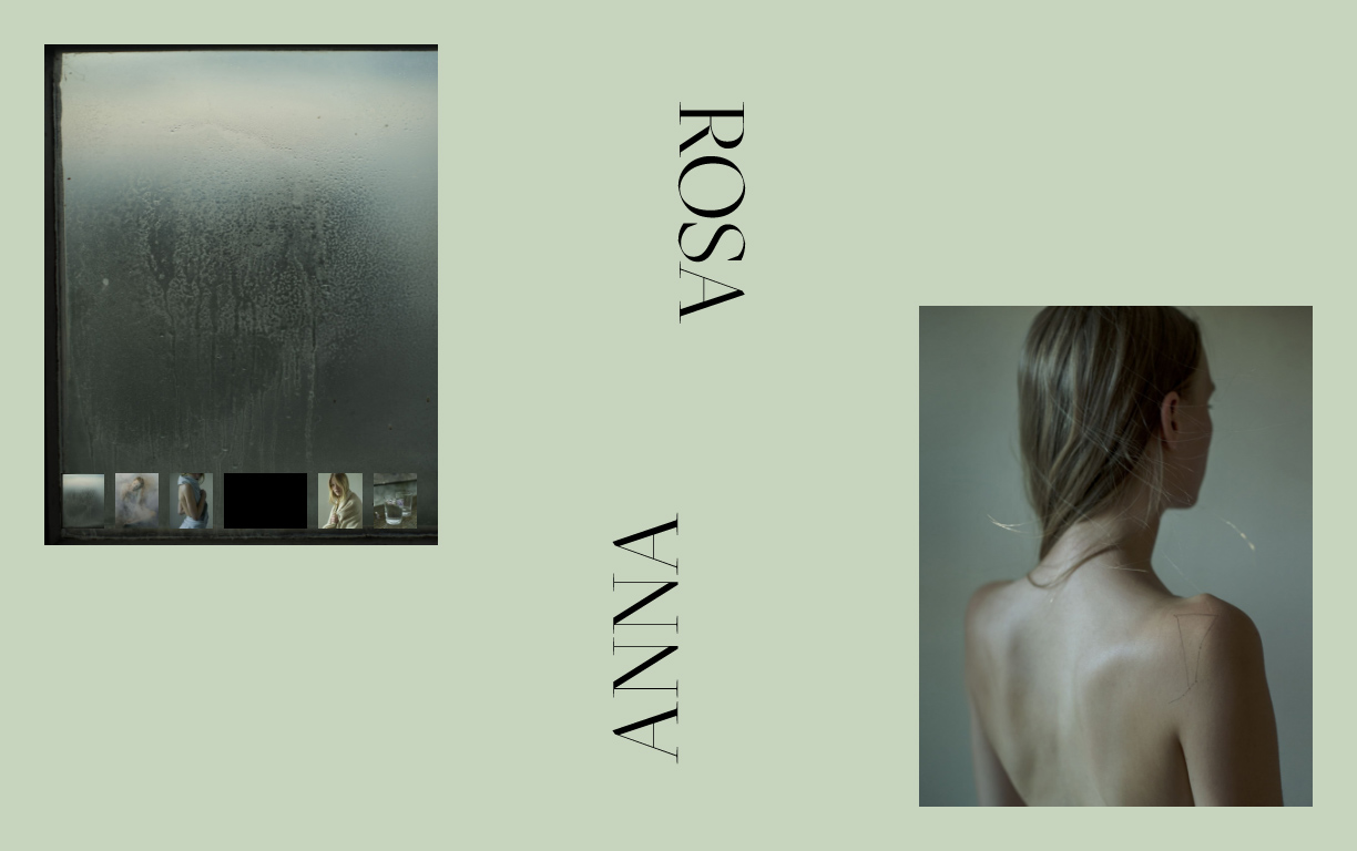 Anna Rosa Krau by VERDE