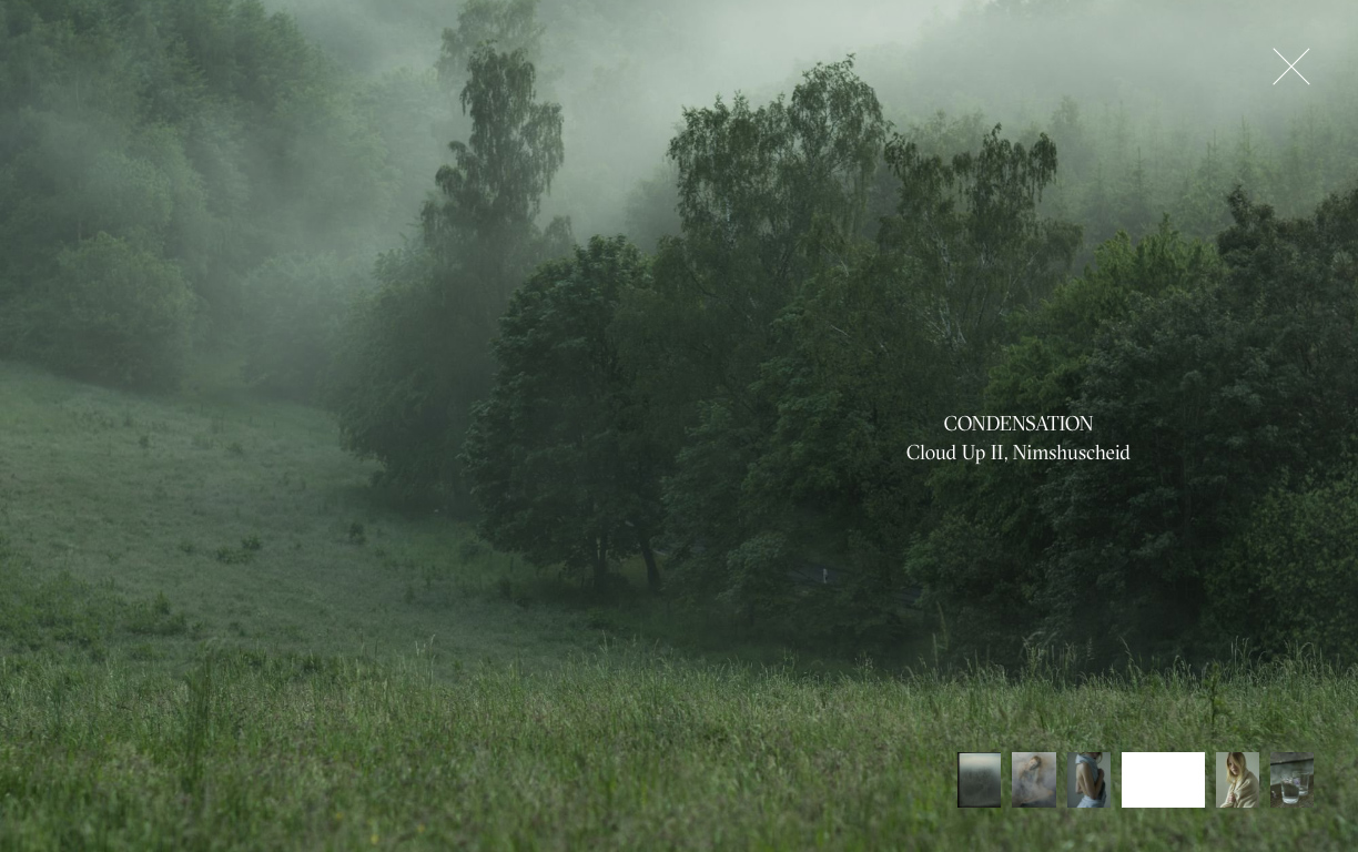 Anna Rosa Krau by VERDE