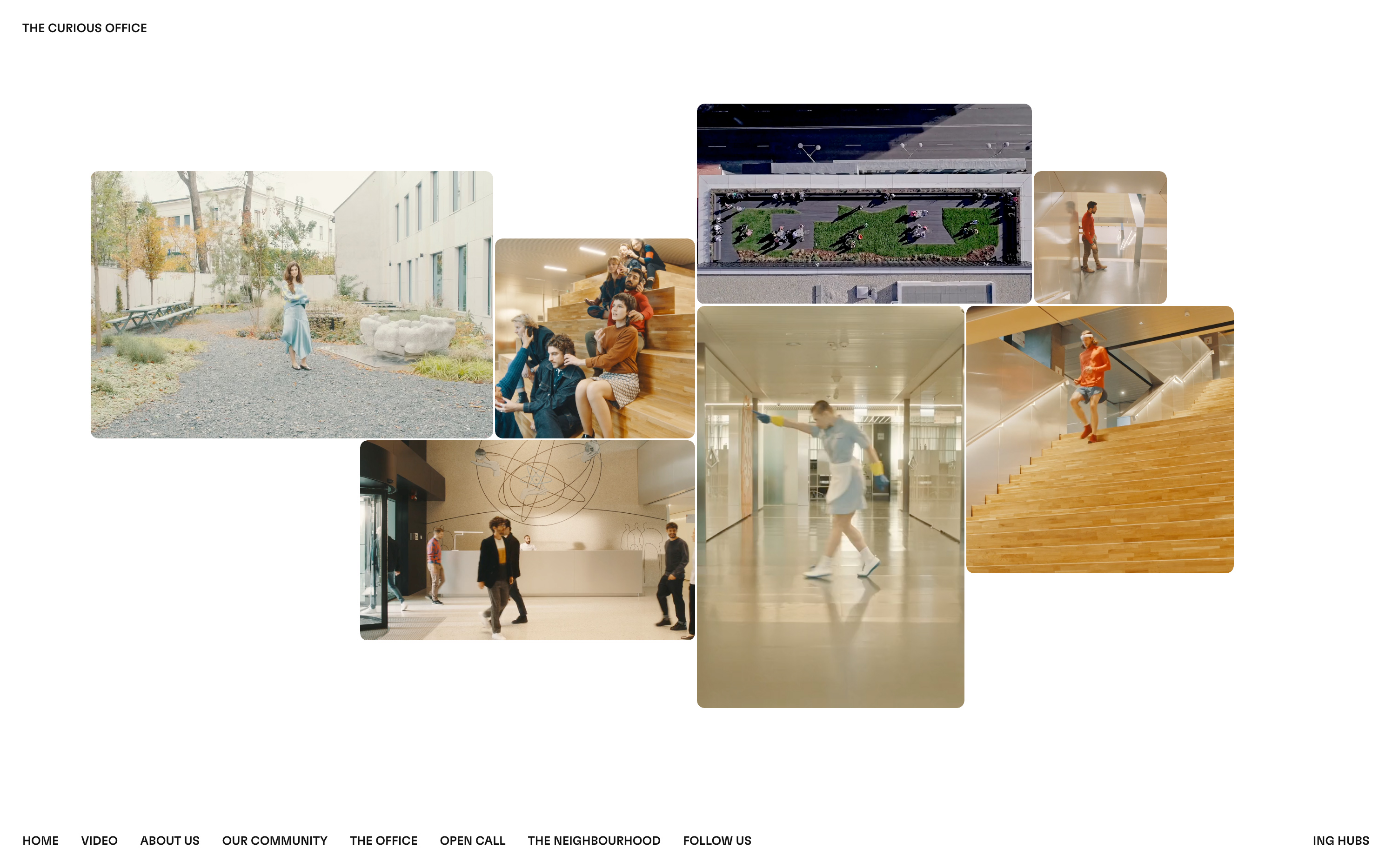 The Curious Office by VERDE