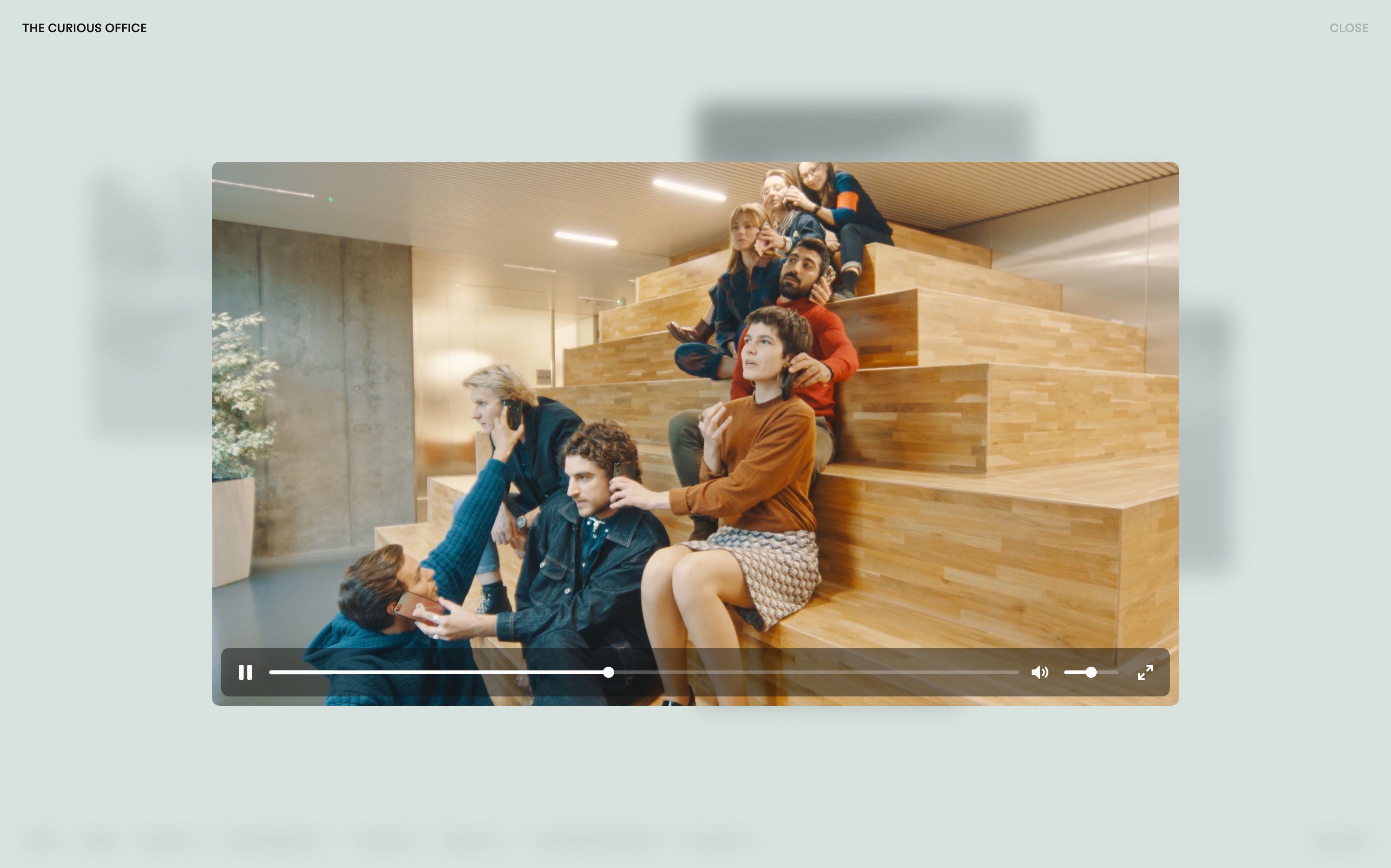 The Curious Office by VERDE