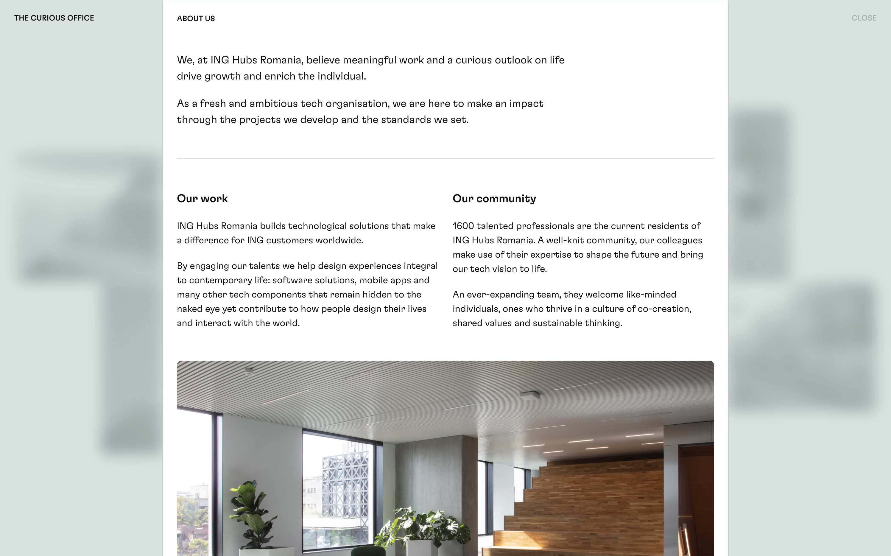 The Curious Office by VERDE