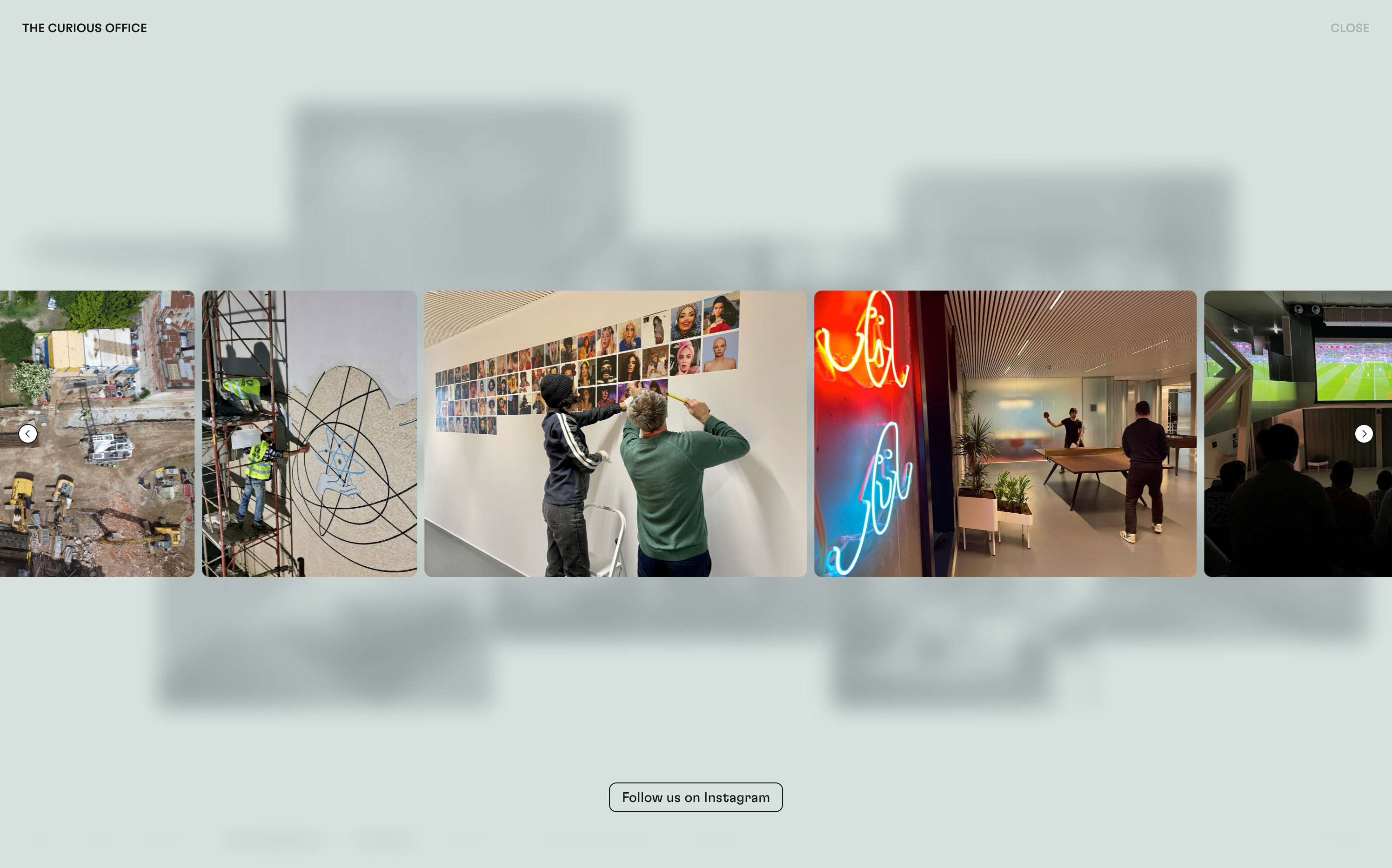 The Curious Office by VERDE